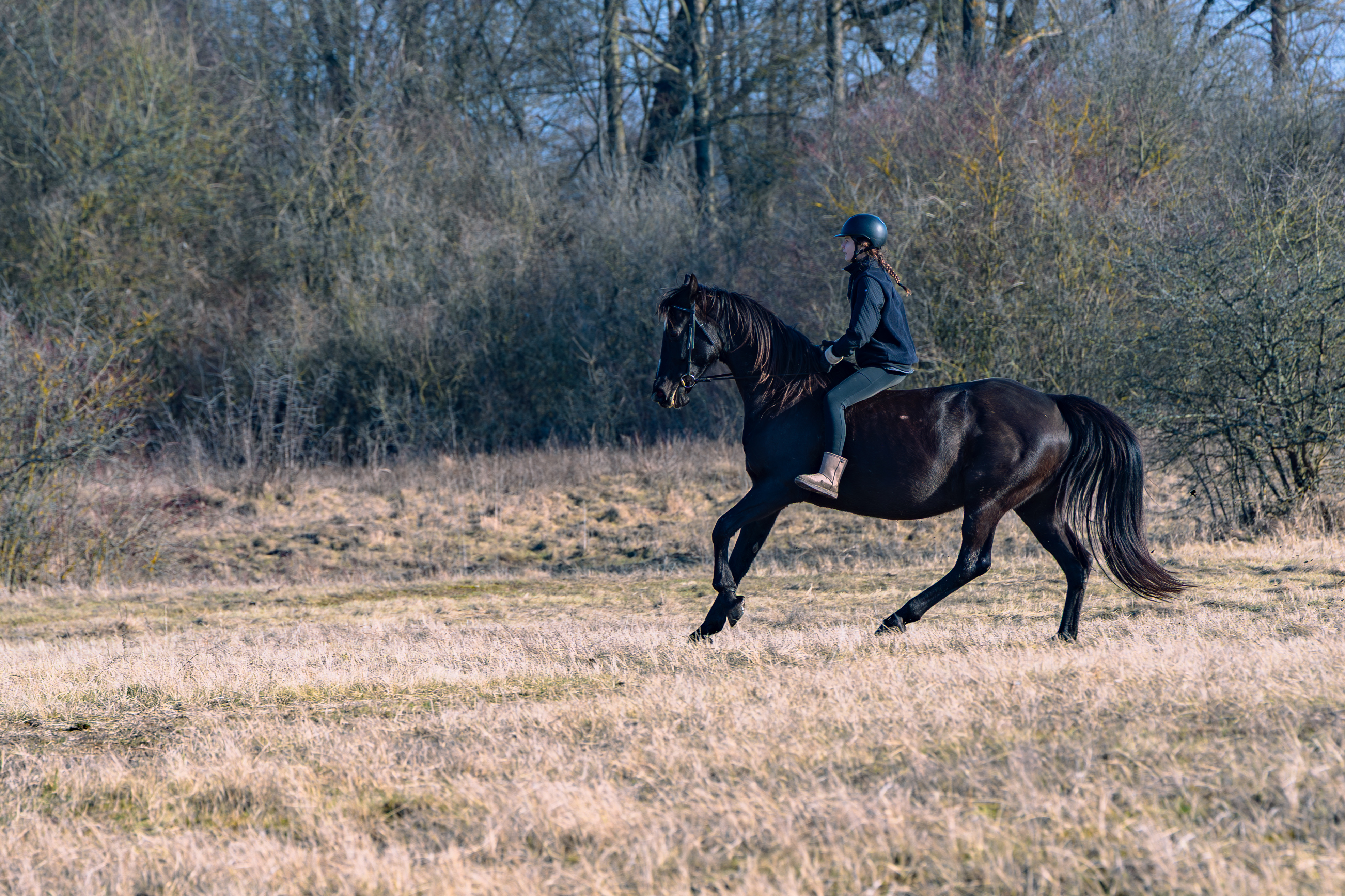 Treningi <i class="italic">Koni</i>