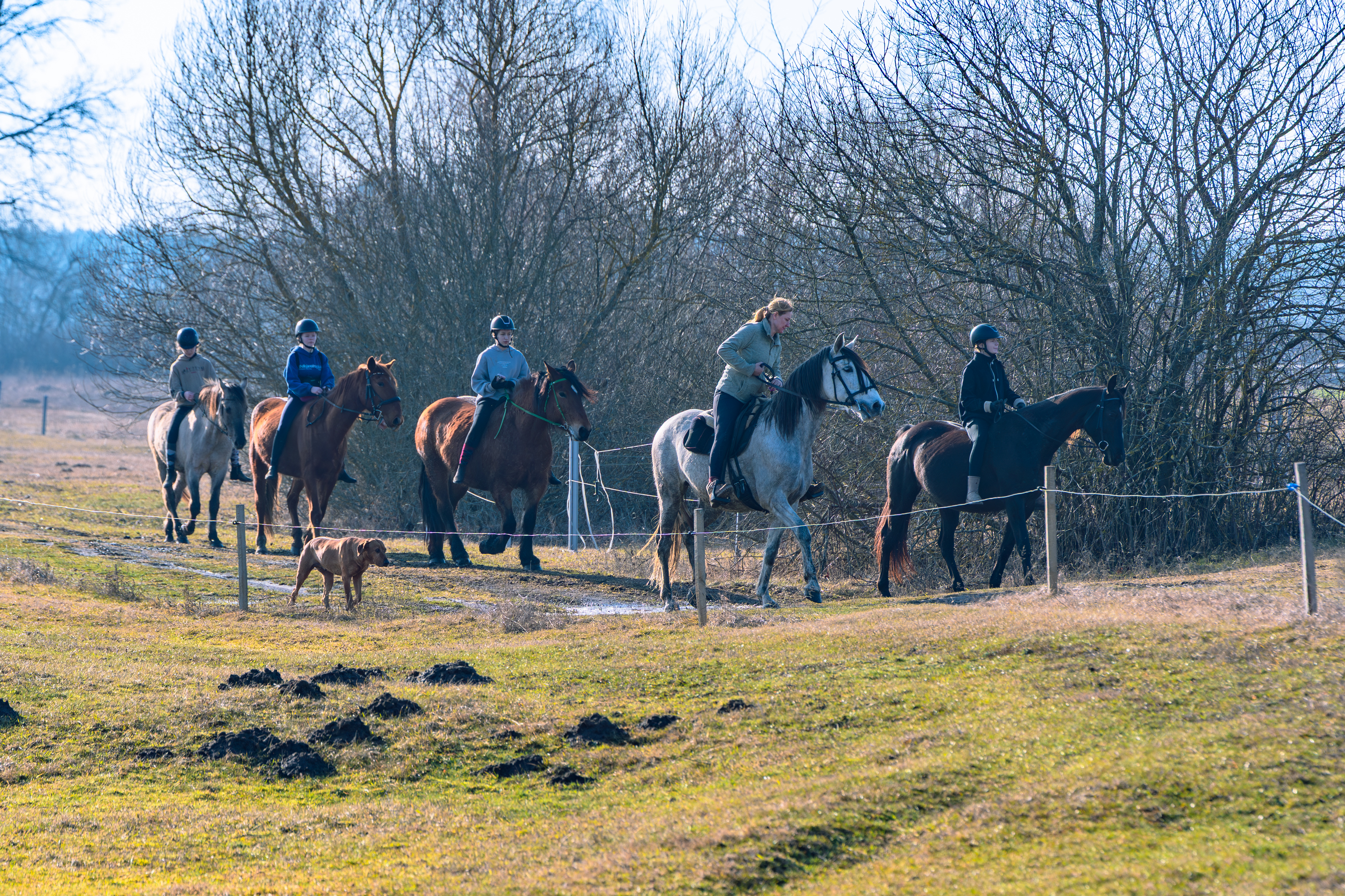 Rajdy <i class="italic">Konne</i>