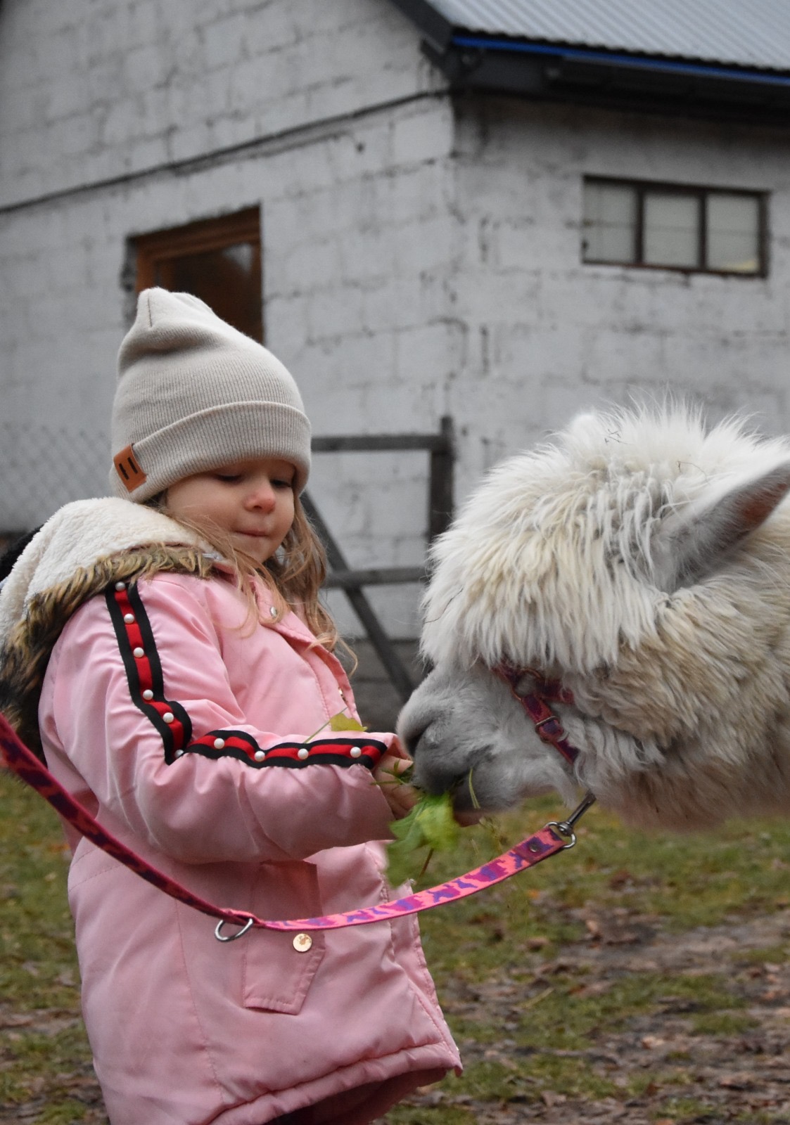 140e5582 7ea4 45c6 9583 e9e95ebbe26c