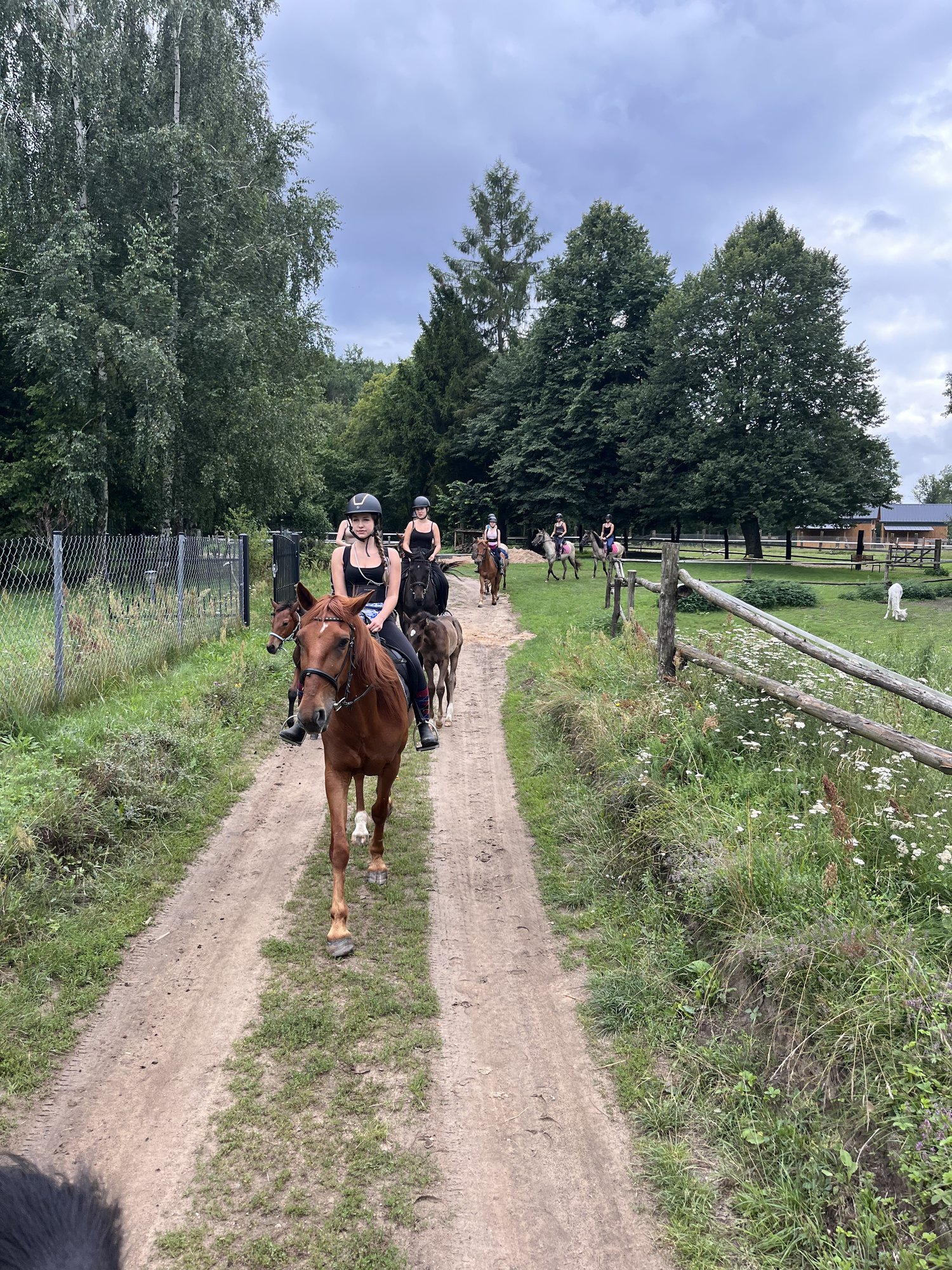 Rajdy konne — najbliższe terminy
