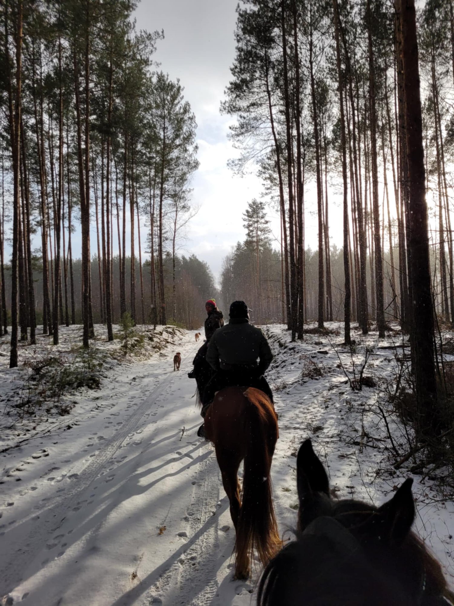 att.1PTZhsCK7tHWGIThEHR7 qyNiV6EmHV90jNA48 Cd6o