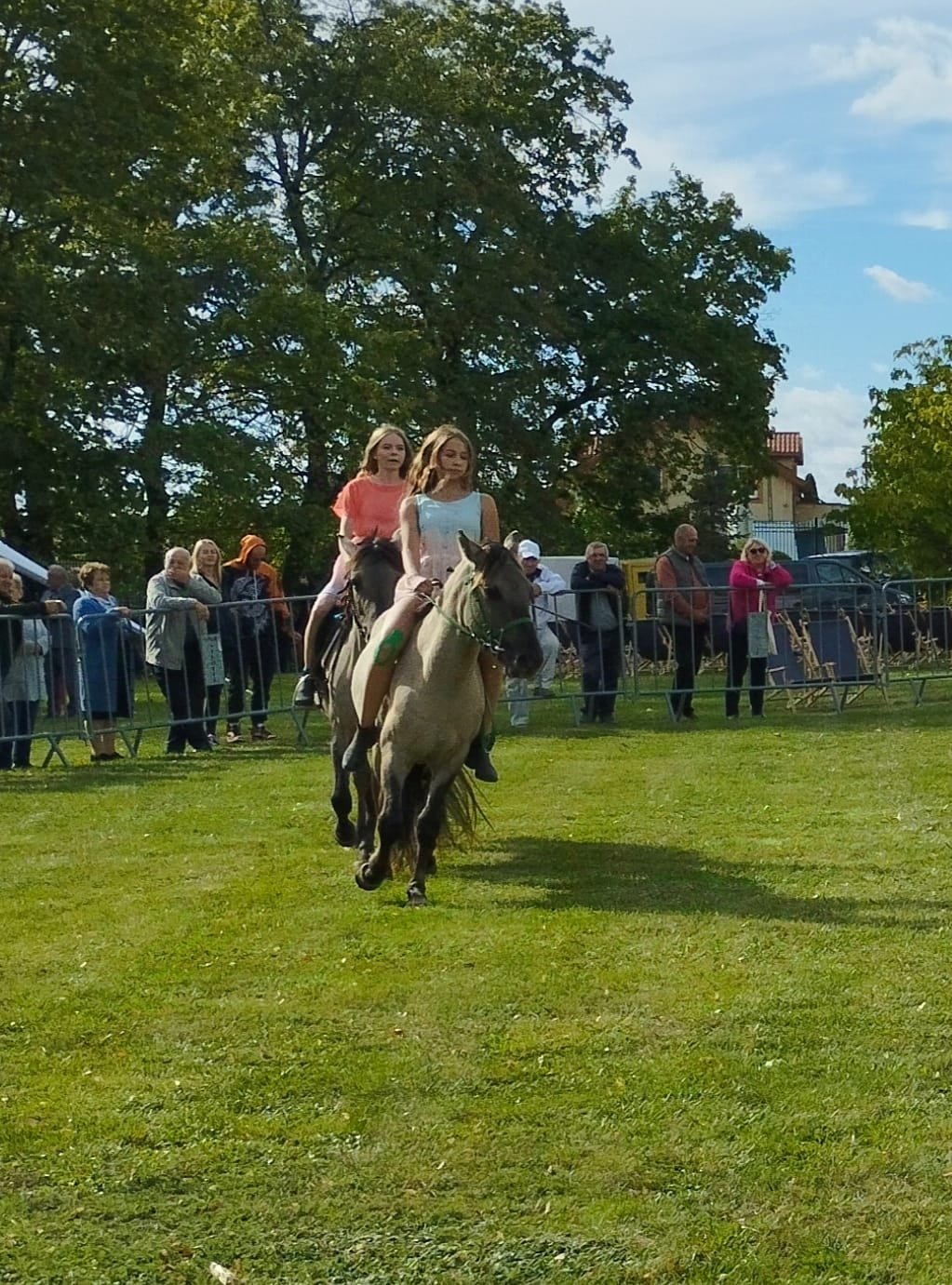 007d4be5 44b2 45e9 a8cb 7381b6741569