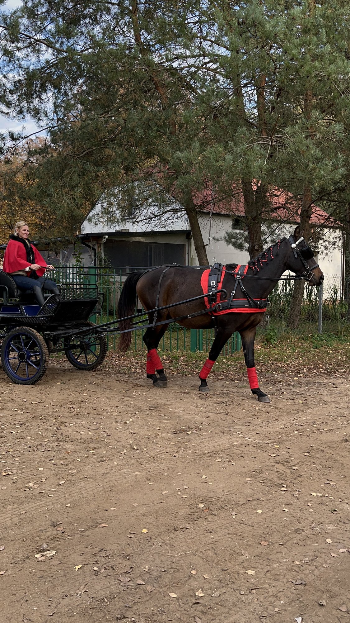 Przejażdżka bryczką Dolina Bugu