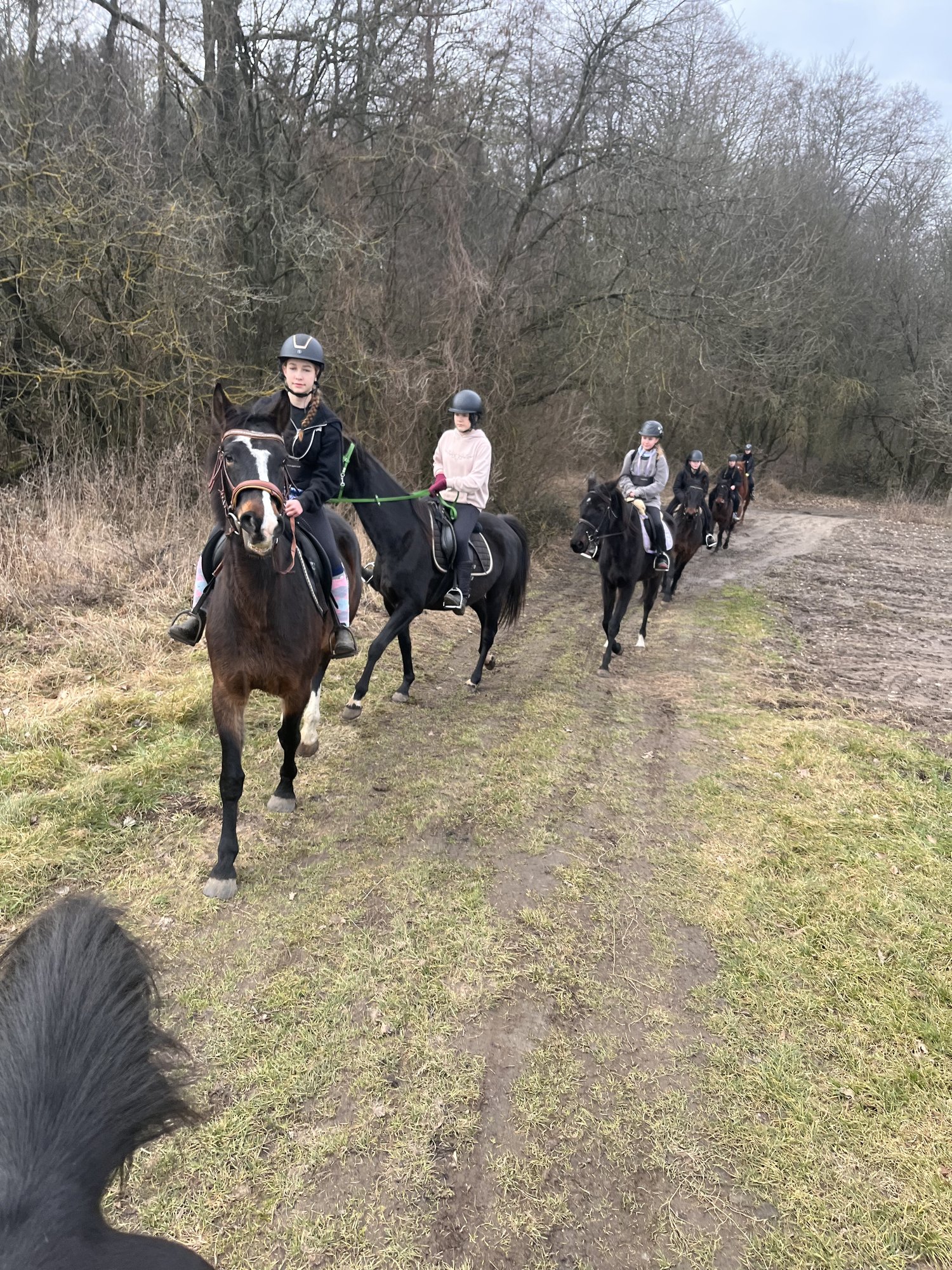 Szkoła nauki jazdy konnej – Ranczo Drażniew