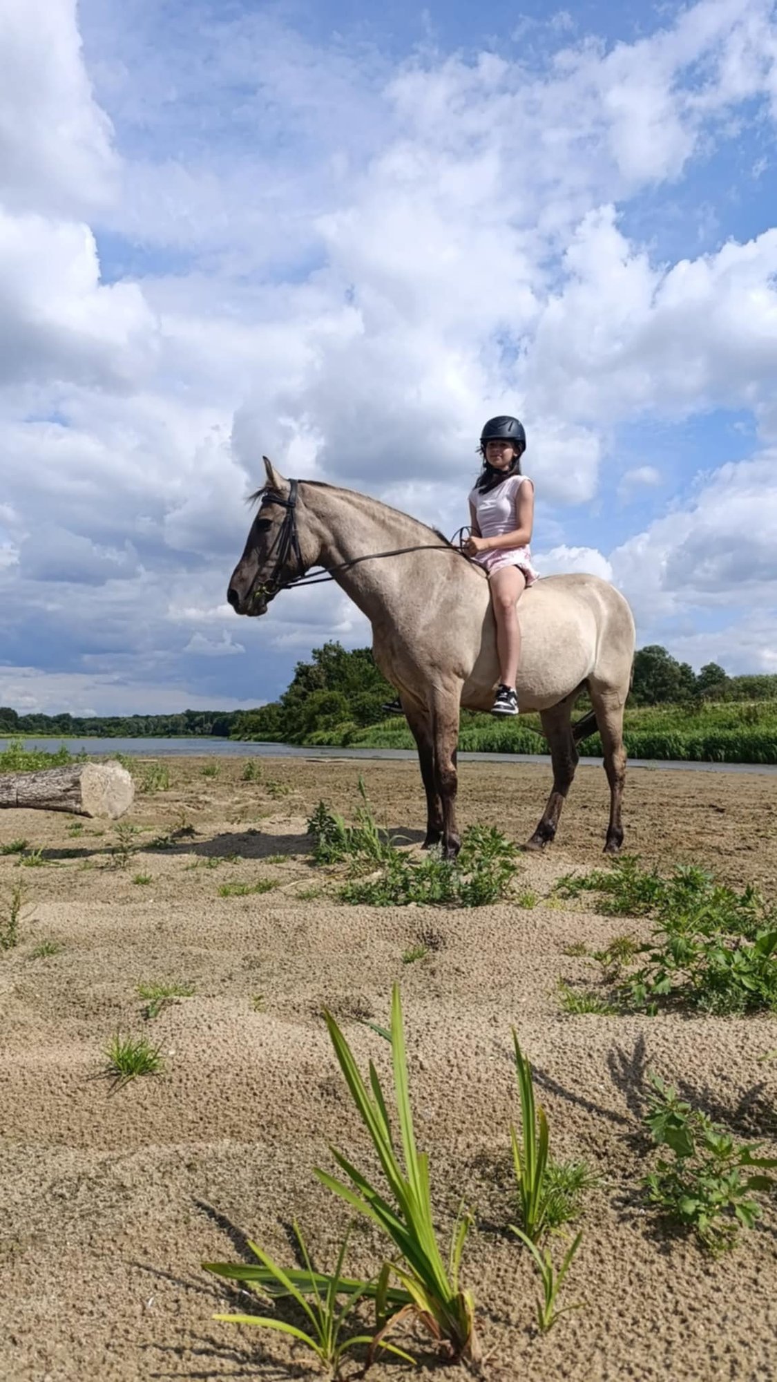 att. TmjGJTNiCIZLbA053CcUqo61CRyHos6pi0QYmdihsE