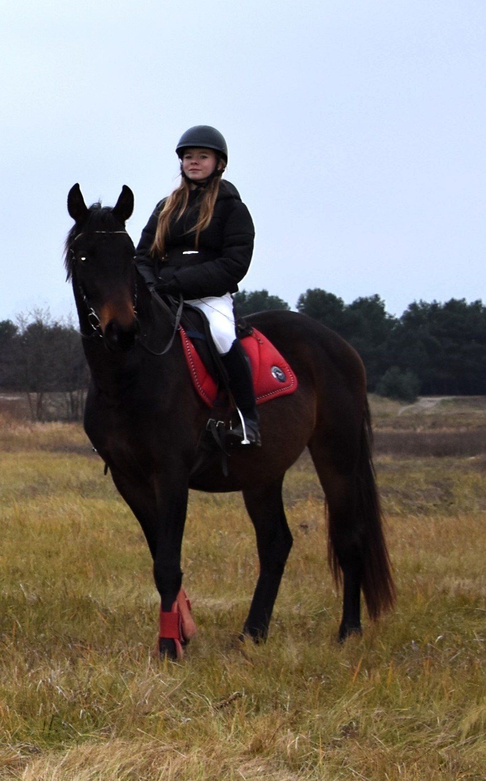 b73d3983 13a7 469d 9893 f62dea47e7b6